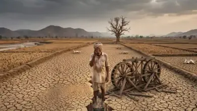 भारत में मानसून की बारिश में कमी और मानसून की वापसी का मौसम अपडेट