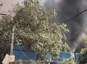 - नोएडा के सेक्टर-125 में एमिटी यूनिवर्सिटी के सामने चाय-नाश्ते की दुकानों में लगी आग पर काबू पाती दमकल की गाड़ियां।