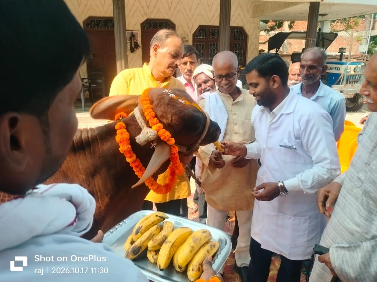अंबेडकरनगर के जमुनीपुर गांव में पंडित दीनदयाल पशु आरोग्य मेले के दौरान पशुओं का उपचार करते पशु चिकित्सक