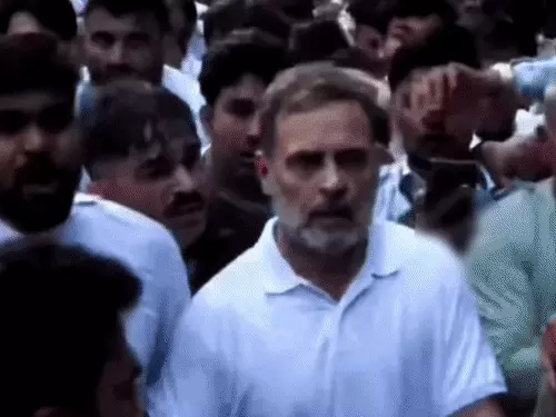 सुप्रीम कोर्ट में गर्भवती पत्रकार से कथित धक्का-मुक्की के मामले से जुड़े राहुल गांधी।