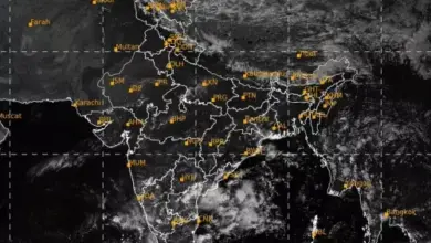 कई राज्यों में बारिश का अलर्ट, उत्तराखंड के चारधाम में गिरता तापमान और सीतापुर में बाढ़ के पानी के बीच धान की कटाई करते किसान।