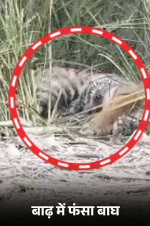 लखनऊ में गोमती नदी का बढ़ा जलस्तर और बाढ़ से प्रभावित नदी किनारे का इलाका।