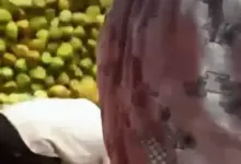 इंदौर में भारत के खिलाफ टी-20 मुकाबले से पहले वेस्टइंडीज टीम के लिए नारियल पानी की व्यवस्था
