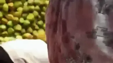 इंदौर में भारत के खिलाफ टी-20 मुकाबले से पहले वेस्टइंडीज टीम के लिए नारियल पानी की व्यवस्था